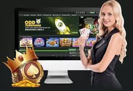 ibet288 VIP Points စုဆောင်းခြင်းနှင့် အဆင့်မြင့်တက်မှု